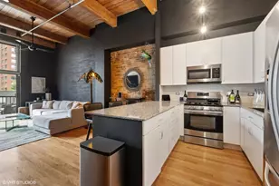 300 W Grand Ave, Chicago, IL 60610 - Photo 2