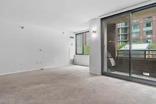 480 N McClurg Ct, Chicago, IL 60611 - Photo 6