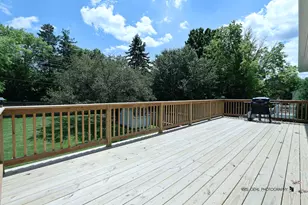 117 Carlisle Ct, Cary, IL 60013 - Photo 20