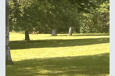 20107 Woodbury Hill, Danville, IL 61834 - Photo 6