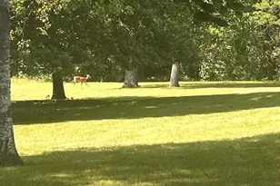 20107 Woodbury Hill, Danville, IL 61834 - Photo 6