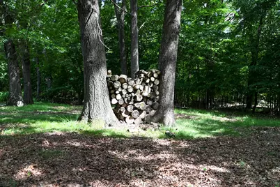 20107 Woodbury Hill, Danville, IL 61834 - Photo 32