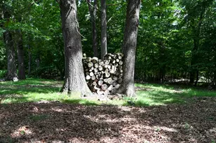 20107 Woodbury Hill, Danville, IL 61834 - Photo 32