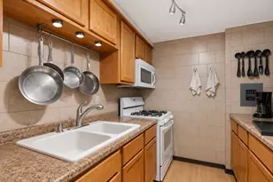 11036 S Kilpatrick Ave, Oak Lawn, IL 60453 - Photo 6