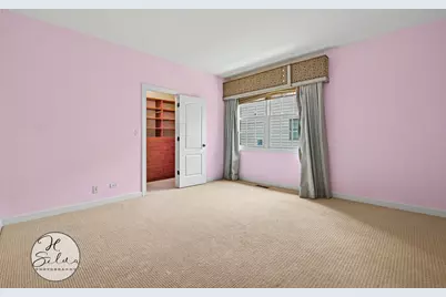 426 W Haley's Hill Court, Palatine, IL 60067 - Photo 42