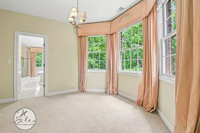 426 W Haley's Hill Court, Palatine, IL 60067 - Photo 34