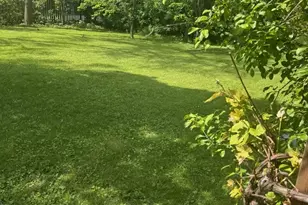1505 65th Pl, Indian Head Park, IL 60525 - Photo 12