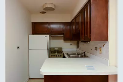 2629 N Hampden Court #308, Chicago, IL 60614 - Photo 2