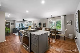 72 W Irving Park Rd, Roselle, IL 60172 - Photo 4