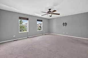 25002 Clare Cir, Manhattan, IL 60442 - Photo 24