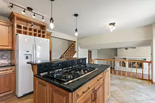 1133 N Thatcher Ln, Addison, IL 60101 - Photo 10