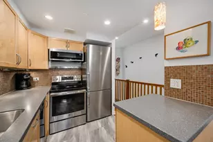 235 W Eugenie St, Chicago, IL 60614 - Photo 8
