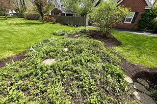 1319 Bunker Ave, Flossmoor, IL 60422 - Photo 48