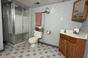 21203 Old N Church Rd, Frankfort, IL 60423 - Photo 42