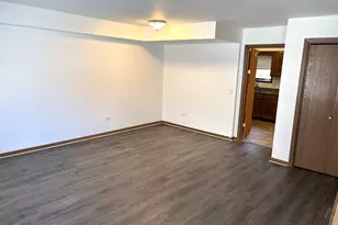 2338 S Canal St, Chicago, IL 60616 - Photo 4