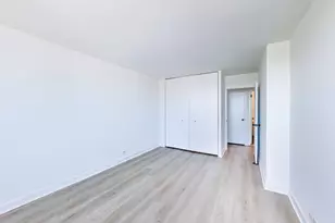 1355 N Sandburg Terrace, Chicago, IL 60610 - Photo 10