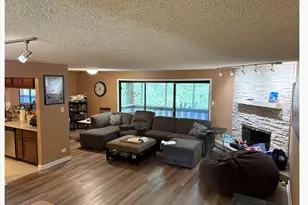 11211 Sycamore Ln, Palos Hills, IL 60465 - Photo 4