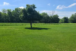 9830 Yorktown Rd, Lyndon, IL 61261 - Photo 34