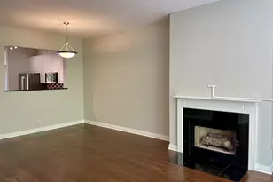 310 N Clinton St, Chicago, IL 60661 - Photo 4