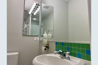 310 N Clinton Street #K, Chicago, IL 60661 - Photo 16