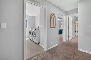 162 Hibiscus Ln, Elgin, IL 60124 - Photo 20