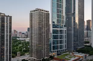 201 N Westshore Dr, Chicago, IL 60601 - Photo 20
