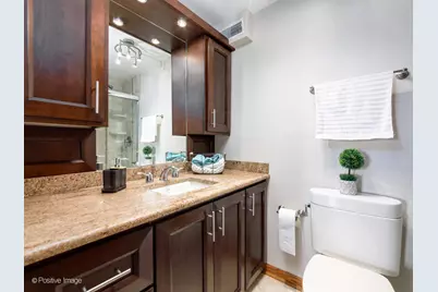 360 E Randolph Street #3902, Chicago, IL 60601 - Photo 14