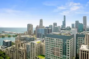 180 E Pearson St, Chicago, IL 60611 - Photo 34
