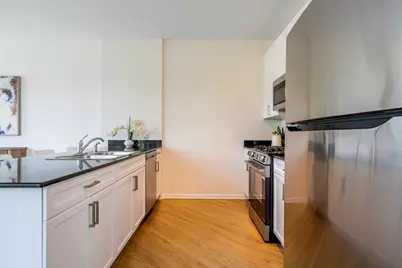 1451 S Halsted Street #3B, Chicago, IL 60607 - Photo 10