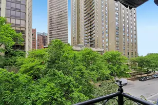 111 E Bellevue Pl, Chicago, IL 60611 - Photo 50