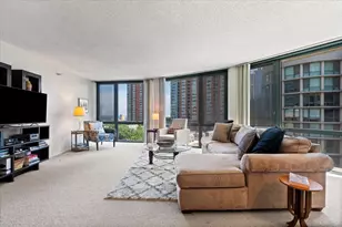 480 N McClurg Ct, Chicago, IL 60611 - Photo 14
