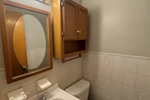 4329 W 77th Pl, Chicago, IL 60652 - Photo 14