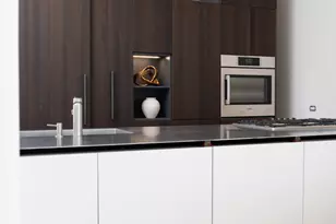 22 E Elm St, Chicago, IL 60611 - Photo 32