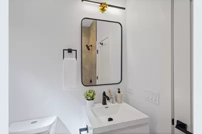 433 E 46th Place, Chicago, IL 60653 - Photo 18