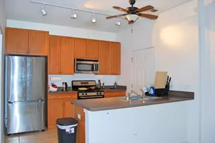 1431 S Halsted St, Chicago, IL 60607 - Photo 2