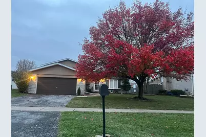 1516 Wayne Drive, Crete, IL 60417 - Photo 1