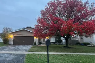 1516 Wayne Dr, Crete, IL 60417 - Photo 1
