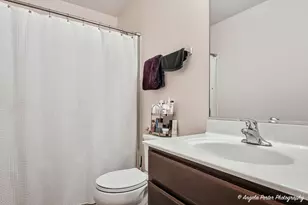 1152 Piccolo Ln, Volo, IL 60073 - Photo 22