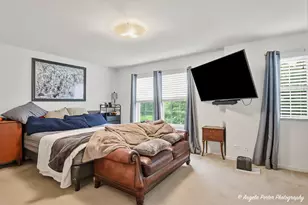 1152 Piccolo Ln, Volo, IL 60073 - Photo 24
