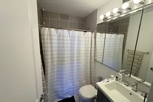 1550 N Lake Shore Dr, Chicago, IL 60610 - Photo 10