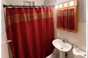 8410 S Burnham Ave, Chicago, IL 60617 - Photo 10