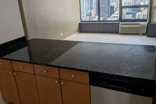 30 E Huron St, Chicago, IL 60611 - Photo 22