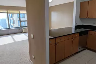 30 E Huron St, Chicago, IL 60611 - Photo 16