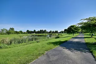 11819 Wolf Creek Ln, Plainfield, IL 60585 - Photo 54
