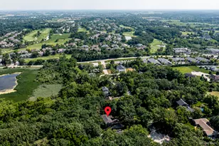 12 Old Tamarack Ln, Orland Park, IL 60462 - Photo 36