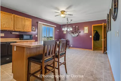 475 S Elm Avenue, Saint Anne, IL 60964 - Photo 6