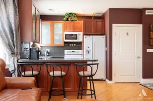 5049 N Neva Ave, Chicago, IL 60656 - Photo 24