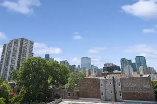 1429 N Wells St, Chicago, IL 60610 - Photo 22