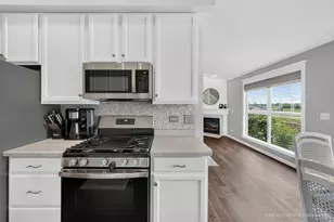 11149 Douglas Ave, Huntley, IL 60142 - Photo 8