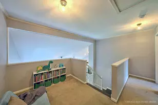 11149 Douglas Ave, Huntley, IL 60142 - Photo 10